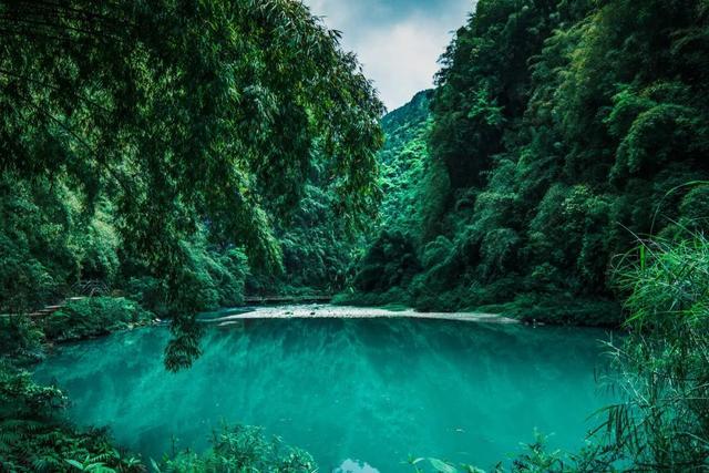 虫虫助手下载