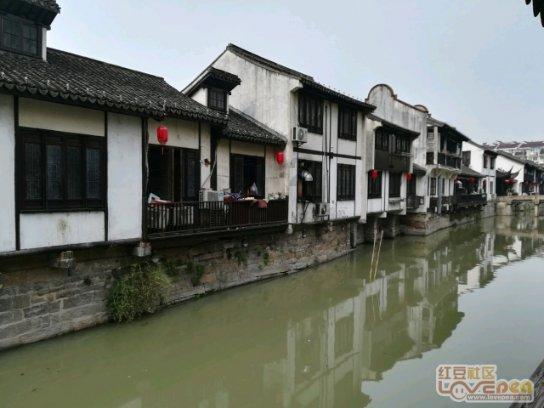 牛油果面包